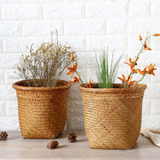 Circular Seagrass Storage Basket and Planter Hybrid