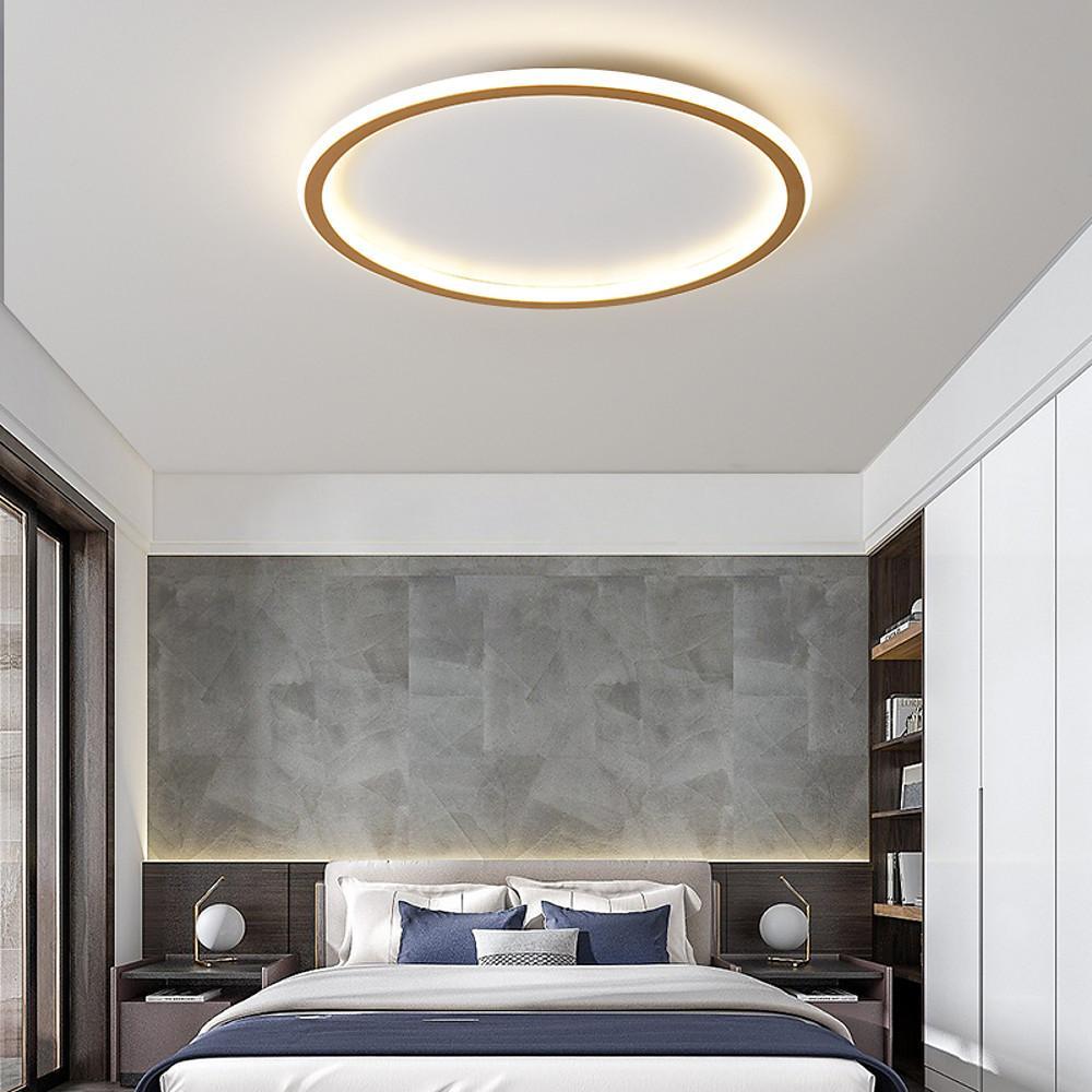 20'' LED 1-Light Single Design Flush Mount Lights Nordic Style LED Metal Acrylic Dimmable Ceiling Lights-dazuma