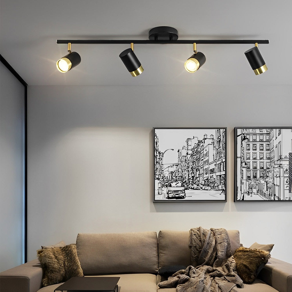 LED ceiling track spotlights with a black track, highlighting artwork in a contemporary space.