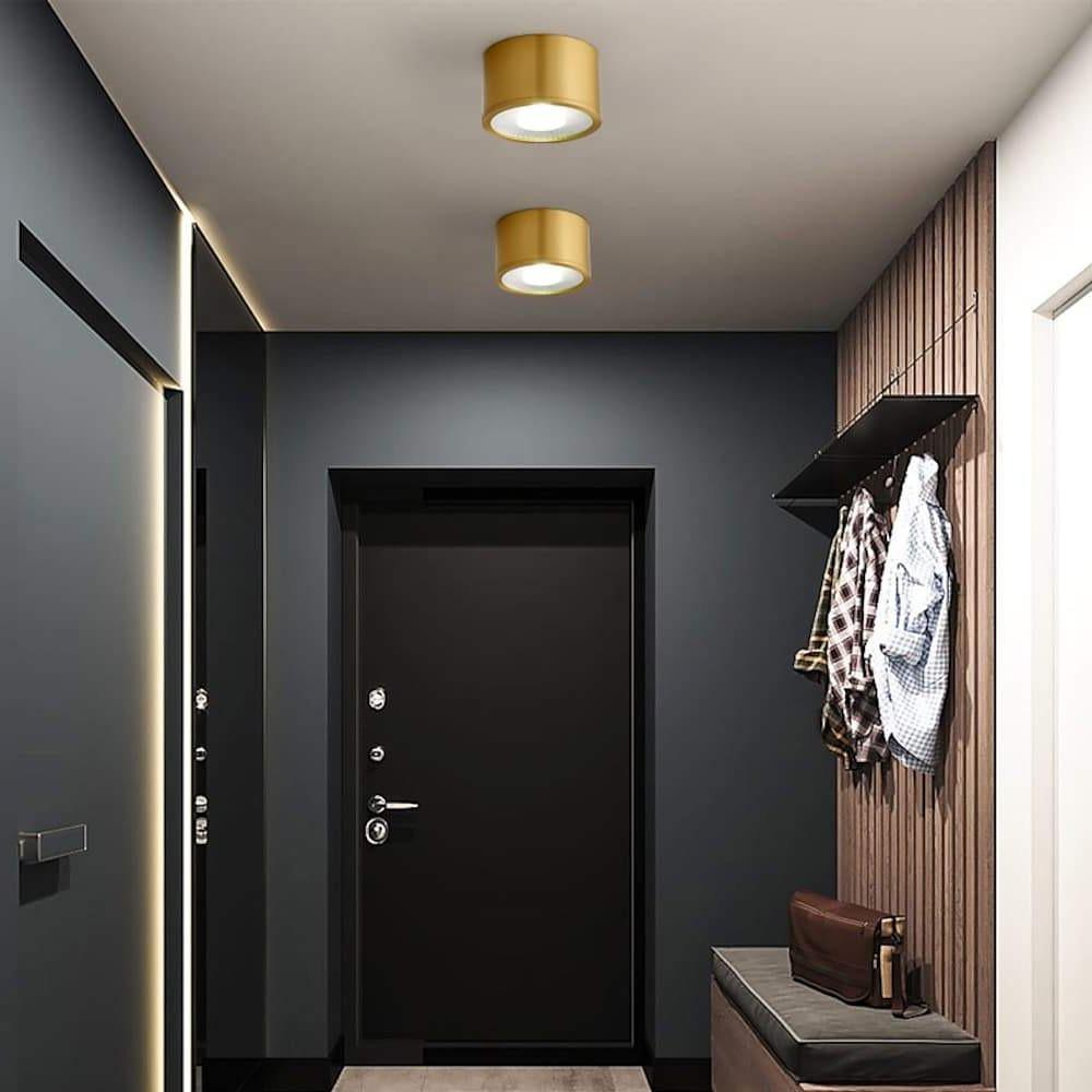 LED downlights used in a dark-toned entry hallway for focused illumination.
