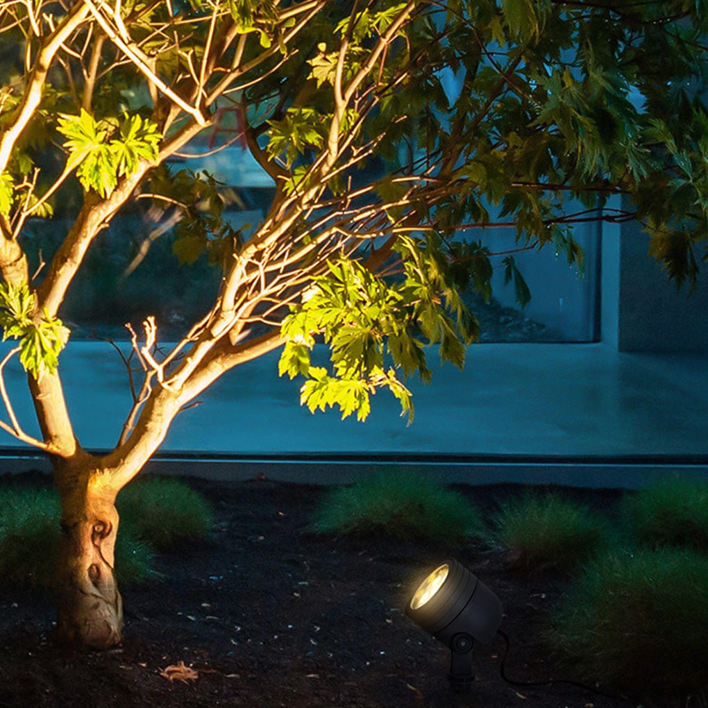 LED landscape spot lights washing a small tree with warm light, creating a dramatic nighttime garden focal point.