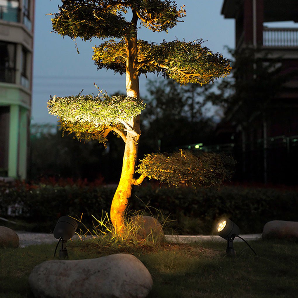 LED landscape spot lights highlighting a sculpted tree at night, producing focused uplighting for a modern garden design.