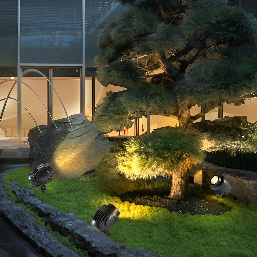 LED landscape spotlight accenting a sculpted tree in a modern courtyard landscape.