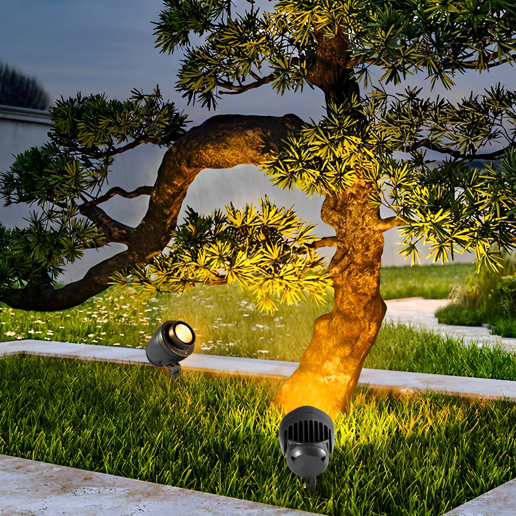 LED landscape spotlight illuminating a curved tree in a landscaped garden setting.