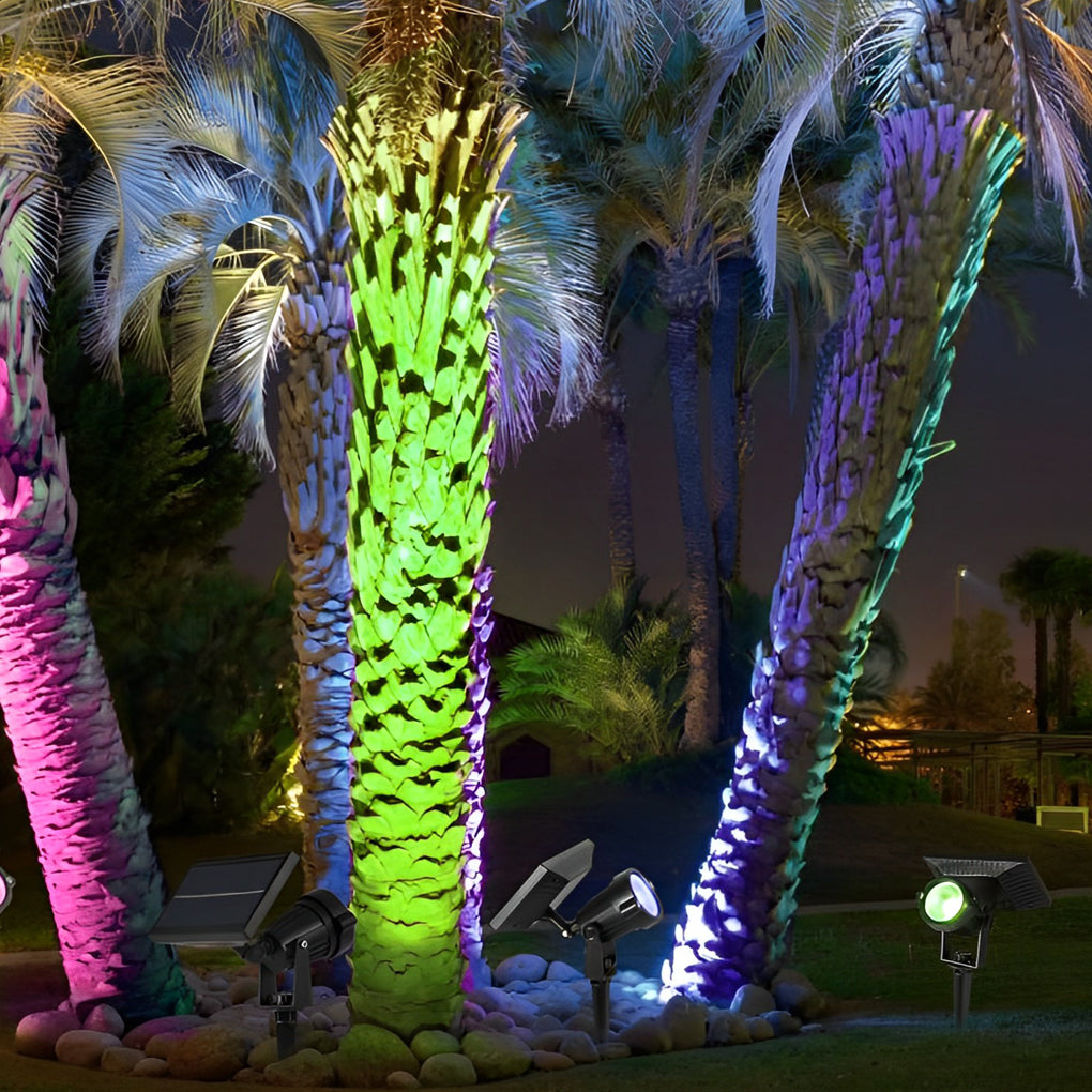 Multicolor ground spike solar lights illuminating palm trees and landscaping in a tropical outdoor setting.