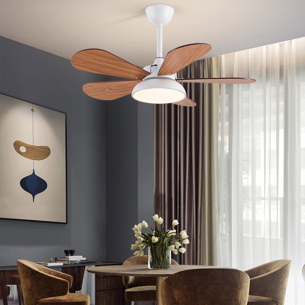Nordic Frequency Conversion Cartoon Reversible Noiseless Kids Ceiling Fan with Lights - Dazuma