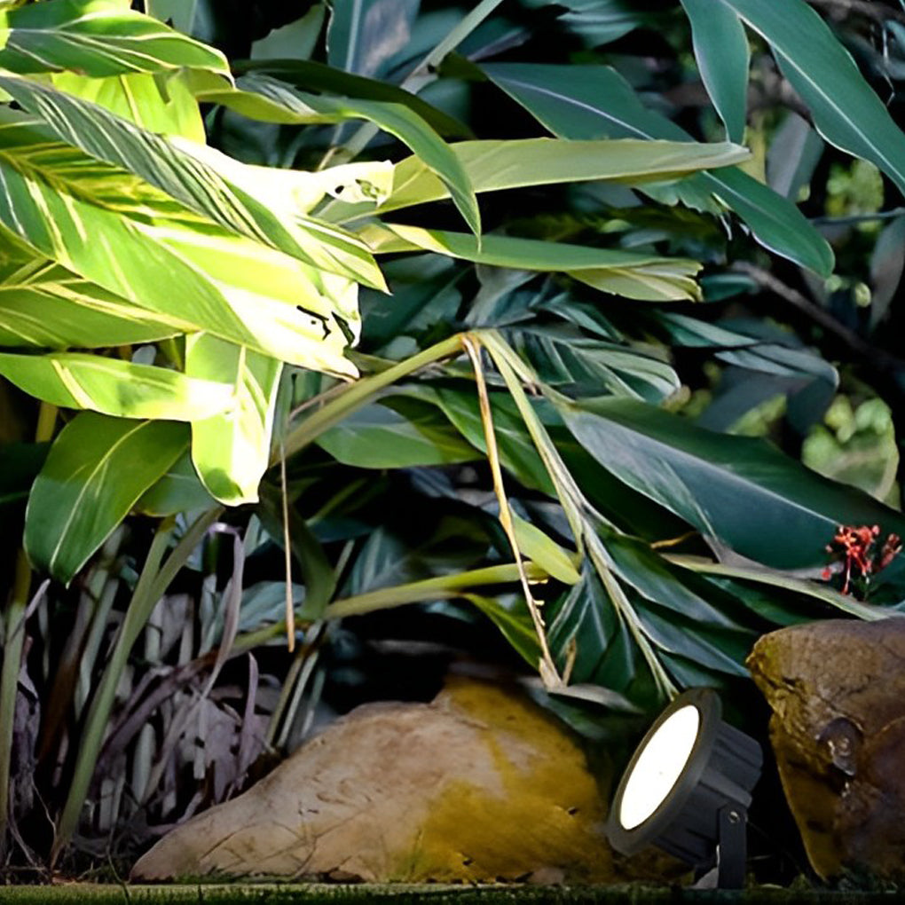 Outdoor LED spotlights energy efficient landscape lighting combines sleek design with reliable, low-energy operation.