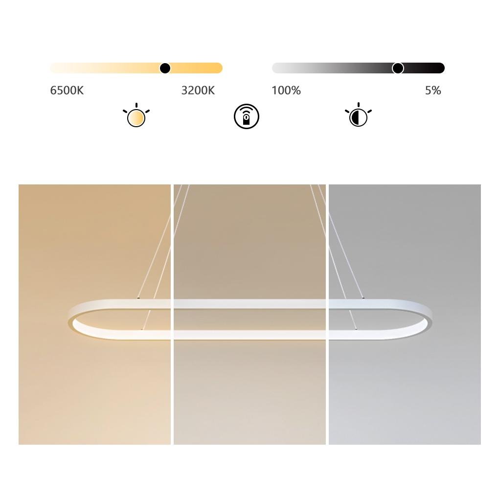 Oval linear pendant light suspended over minimalist decor objects.