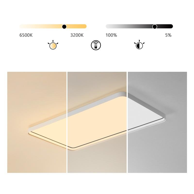 Rectangular flush mount ceiling light with a sleek design, enhancing a modern interior.