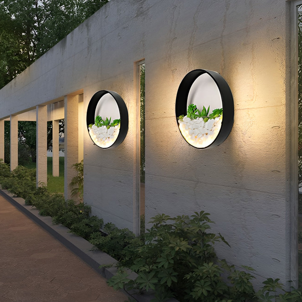 Round plant wall lamp with close-up of succulents and pebbles inside.