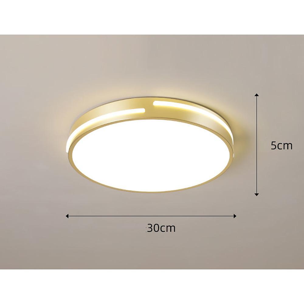 Minimalist Round Dimmable LED Gold Modern Flush Mount Ceiling Light