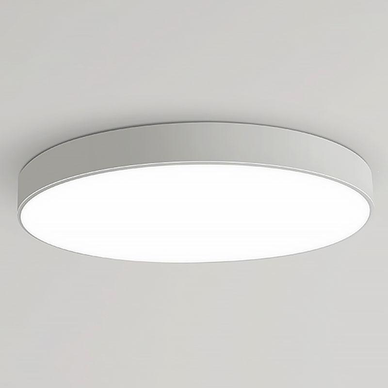 Simple flush mount ceiling light close-up showing cool white illumination.