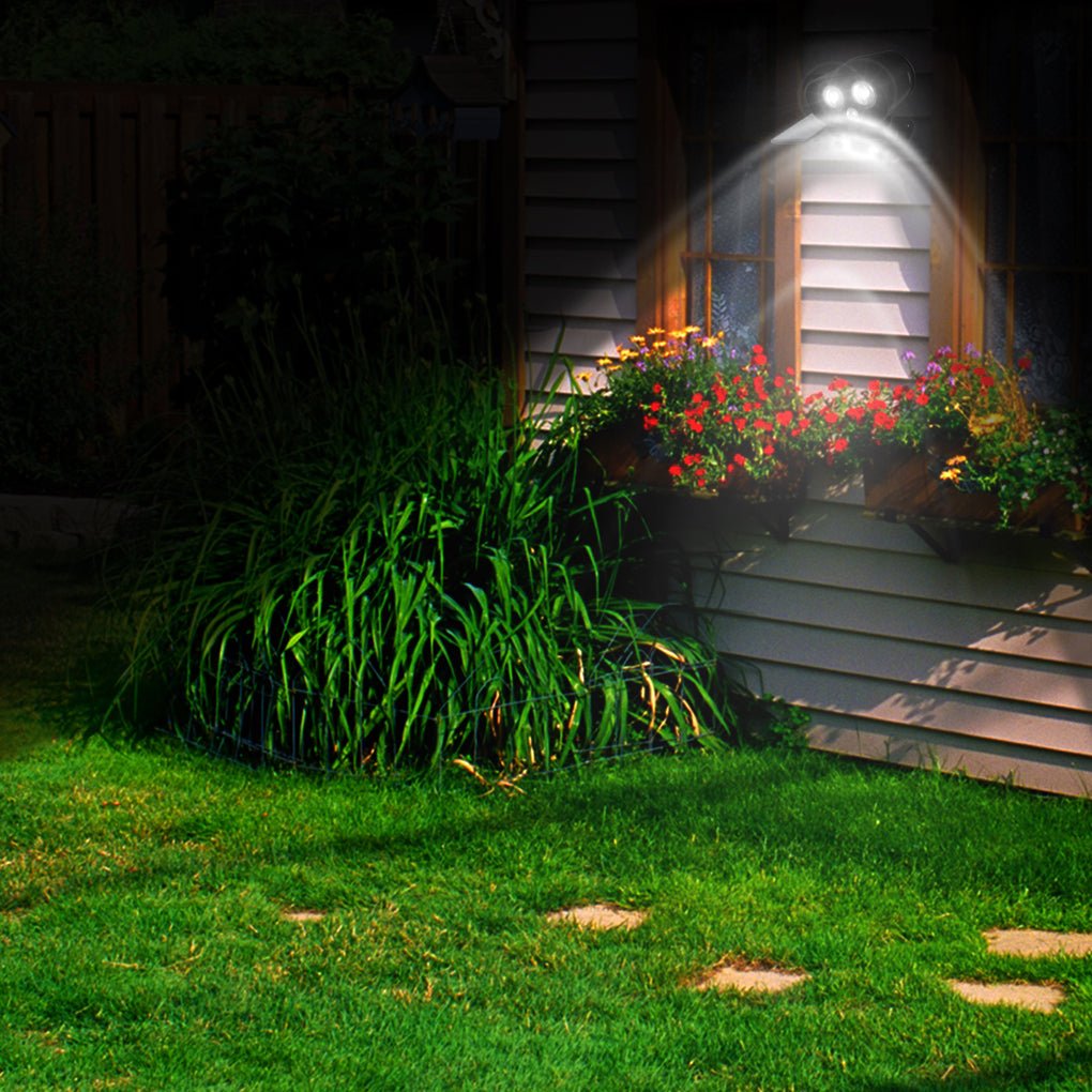 Garden pathway lighting created by a solar motion sensor lamp highlighting plants at night.