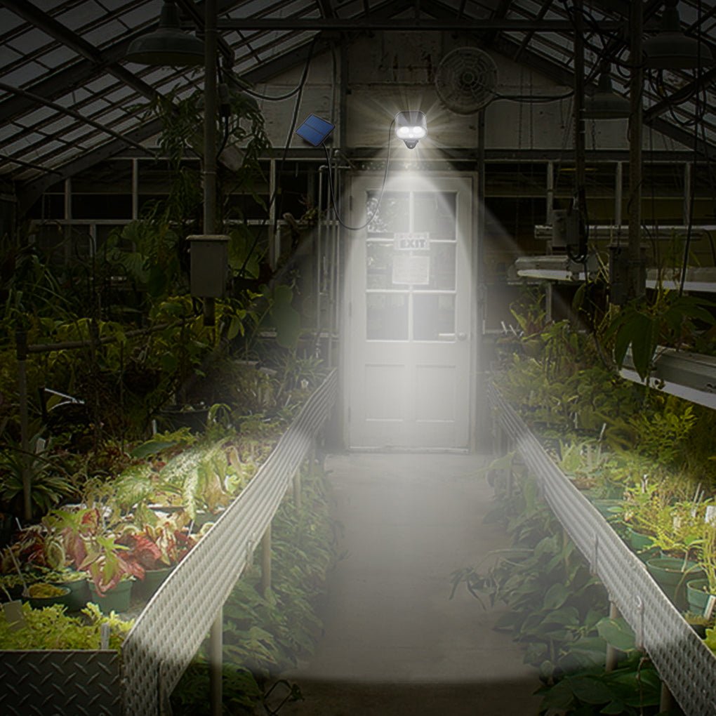 Greenhouse walkway brightly lit by a powerful solar motion sensor lamp at night.