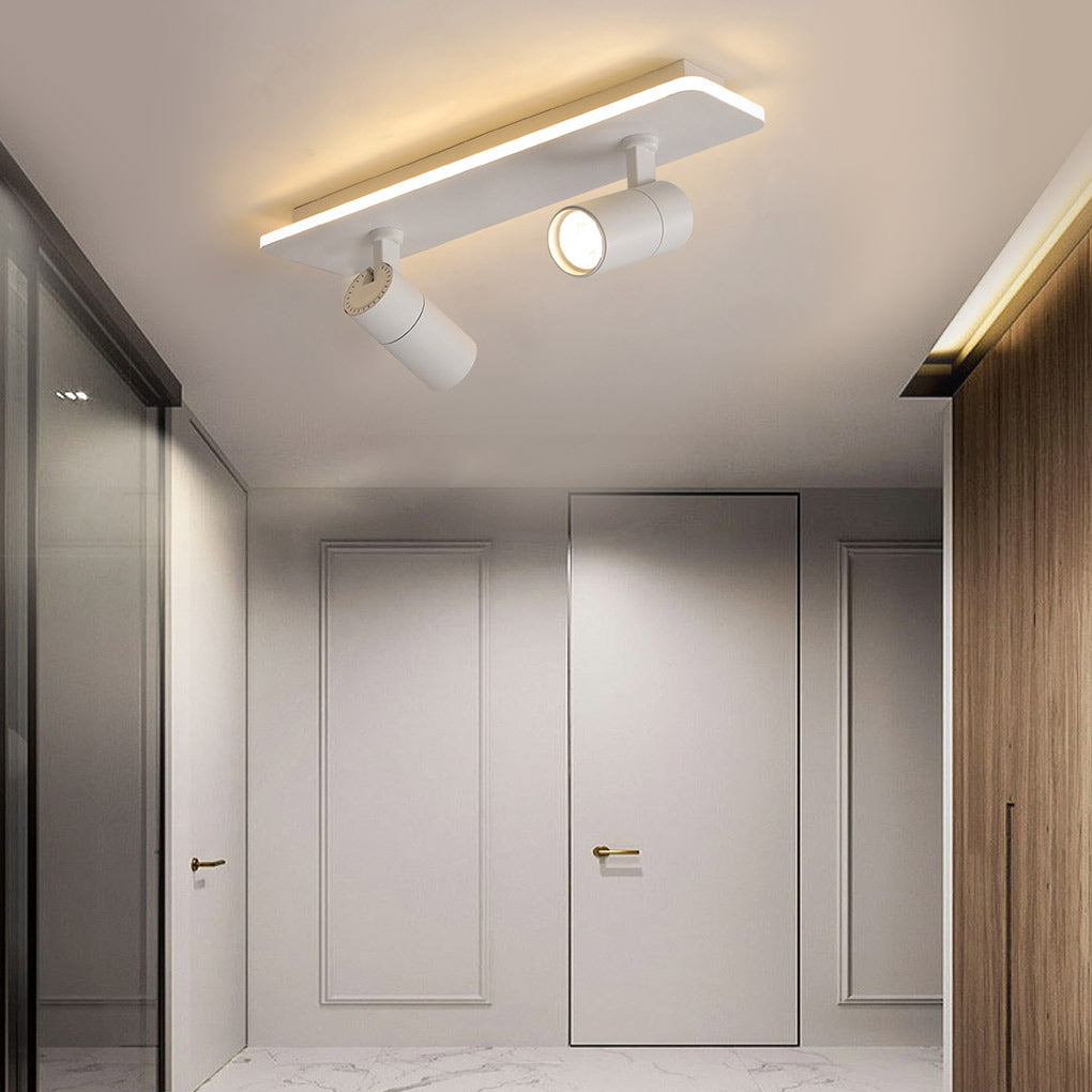 Spotlight Fixture with dual heads and linear LED strip, illuminating a modern entryway with balanced ambient and task light.
