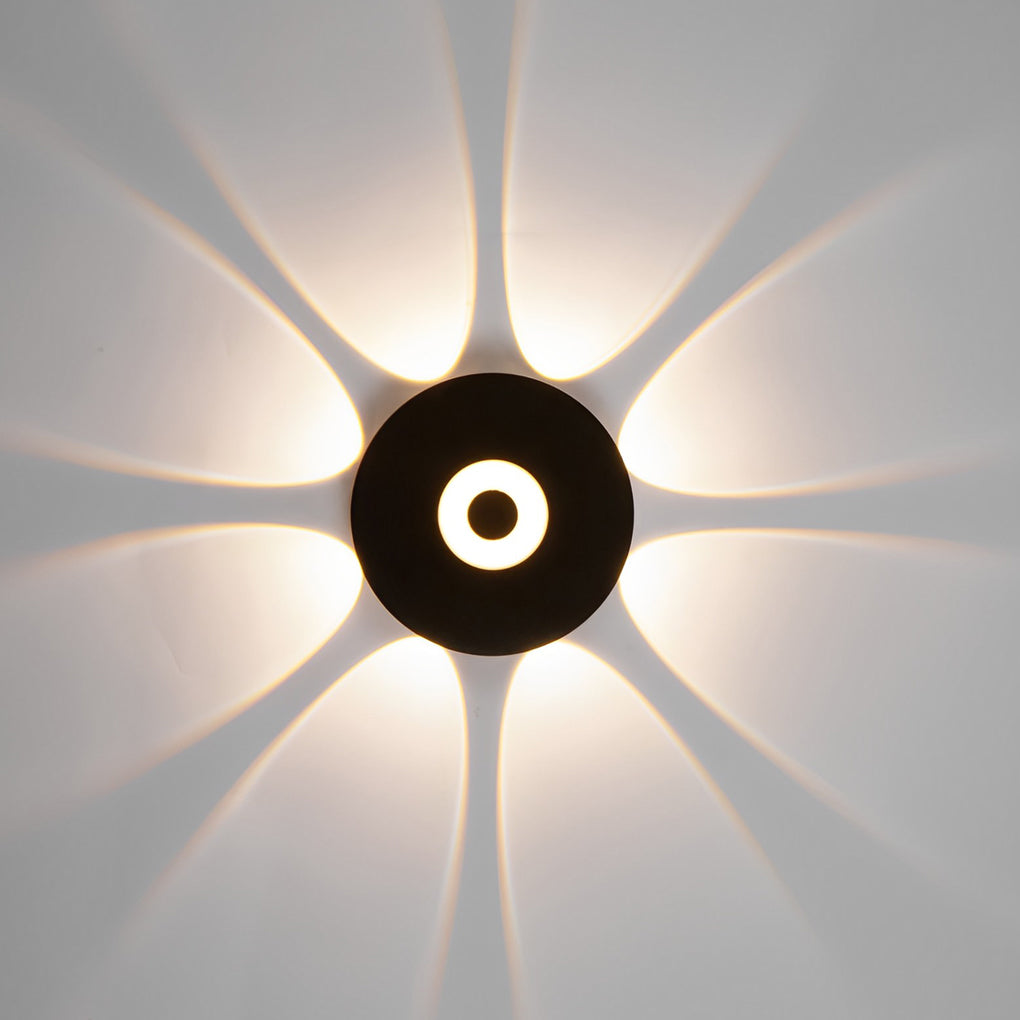 Sunflower LED wall light with a close-up of the light fixture and design.