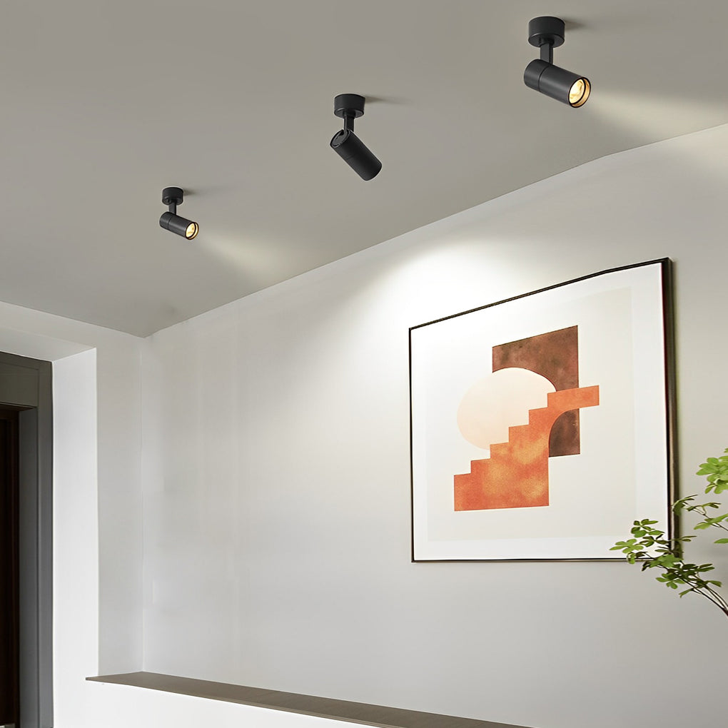 Adjustable surface mounted spot light used for accent lighting in modern hallway interior.