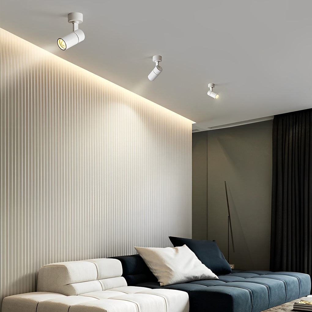 Surface mounted spot light used as ambient ceiling lighting in modern living room interior.