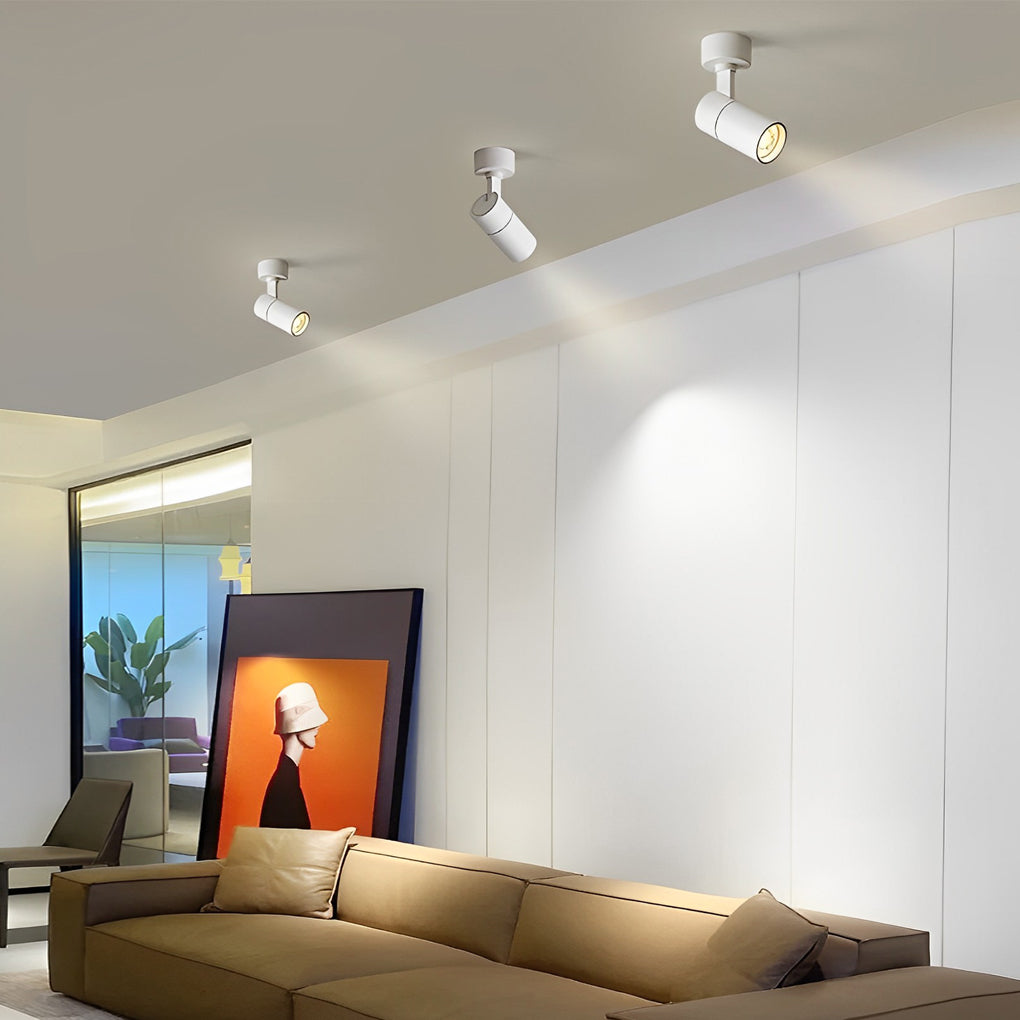Surface mounted spot light used in modern lounge space to highlight seating and artwork.