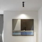 Minimalist surface mounted spot light installed on ceiling to highlight wall art in modern interior space.